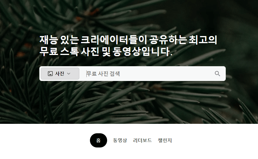 무료 이미지 사이트 pexels